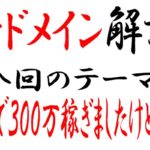 高い値段の中古ドメインは効果も高いのか?たった580円で300万稼いだ話